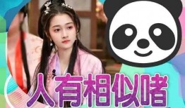 小瓜最新爆料视频大全集,揭秘娱乐圈幕后真相